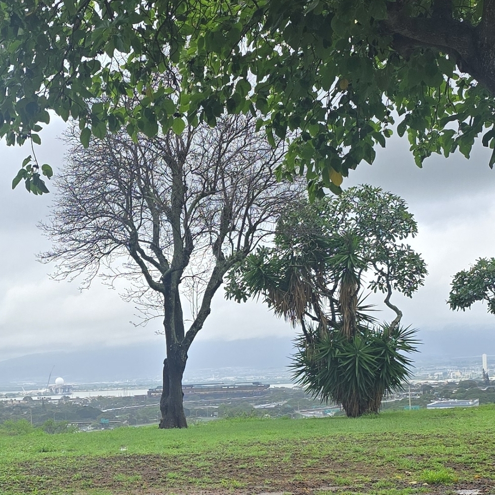 Store Is Closed. A View Of Honolulu In A Rainy Day